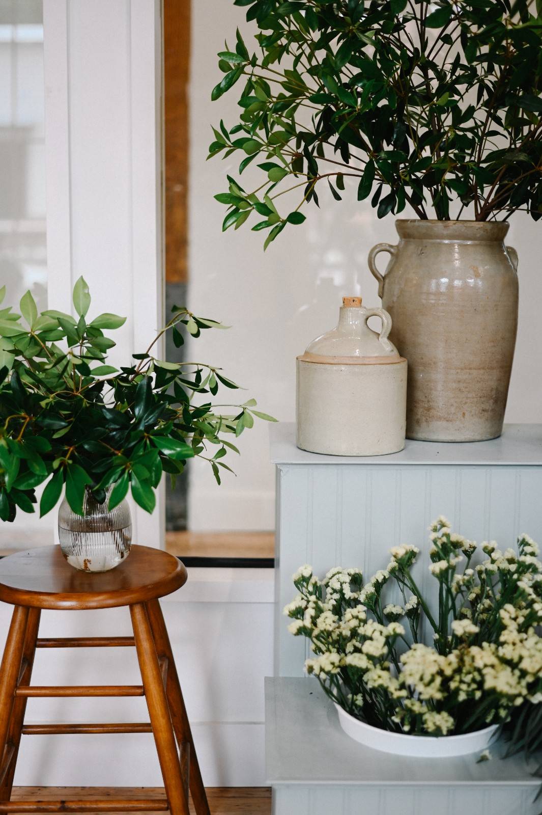 slow living home plants